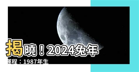 2024兔年運程1987|1987兔2024年运势 属兔人运程完整版